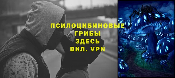 ешки Карпинск