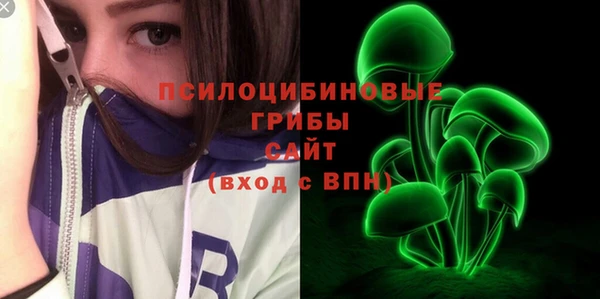 ешки Карпинск