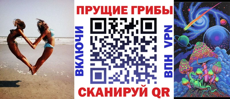 Псилоцибиновые грибы GOLDEN TEACHER купить сайты Новоалександровск