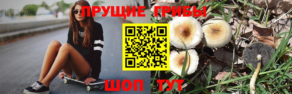Галлюциногенные грибы мухоморы  Псилоцибиновые грибы Psilocybine cubensis  Вход с VPN  Новоалександровск 