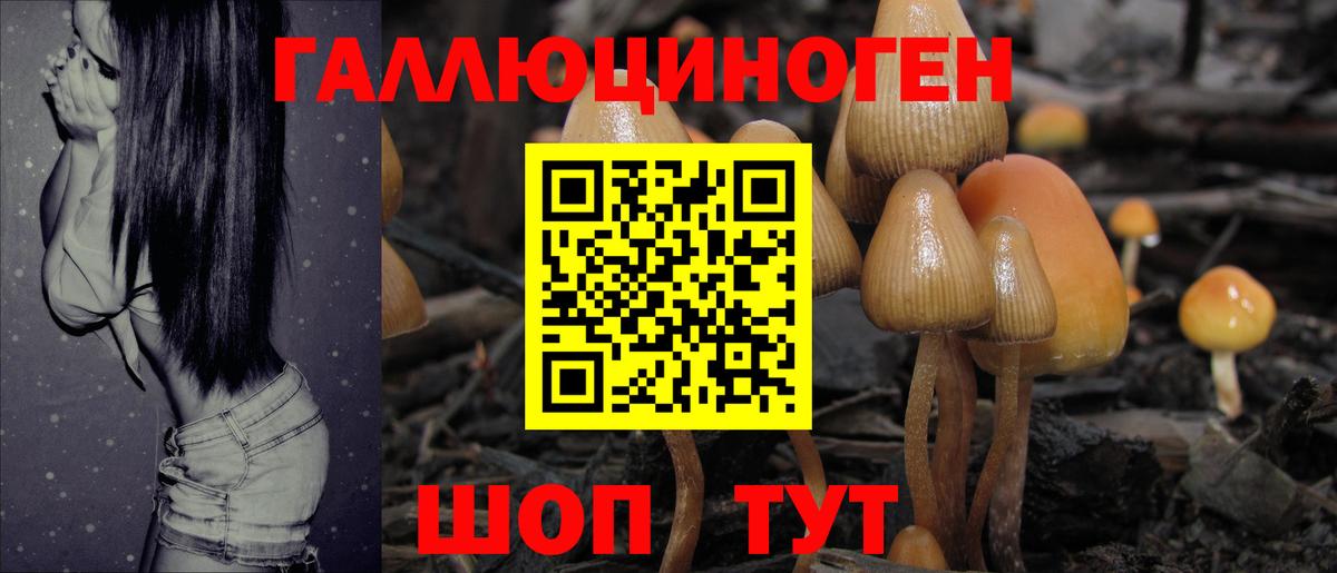 Псилоцибиновые грибы прущие грибы Новоалександровск