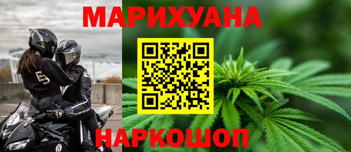 Марихуана сатива Новоалександровск