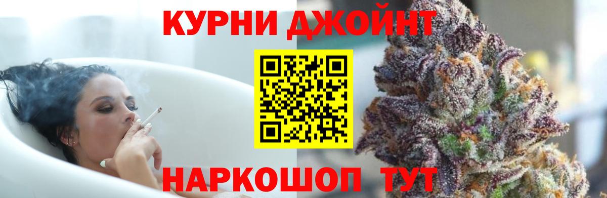 Конопля индика  Вход с VPN  Новоалександровск  Конопля план  Конопля марихуана 